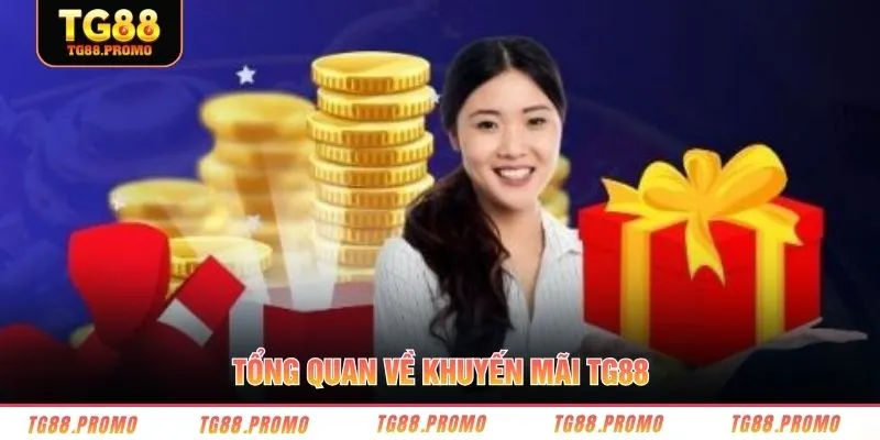 Tổng quan về khuyến mãi TG88